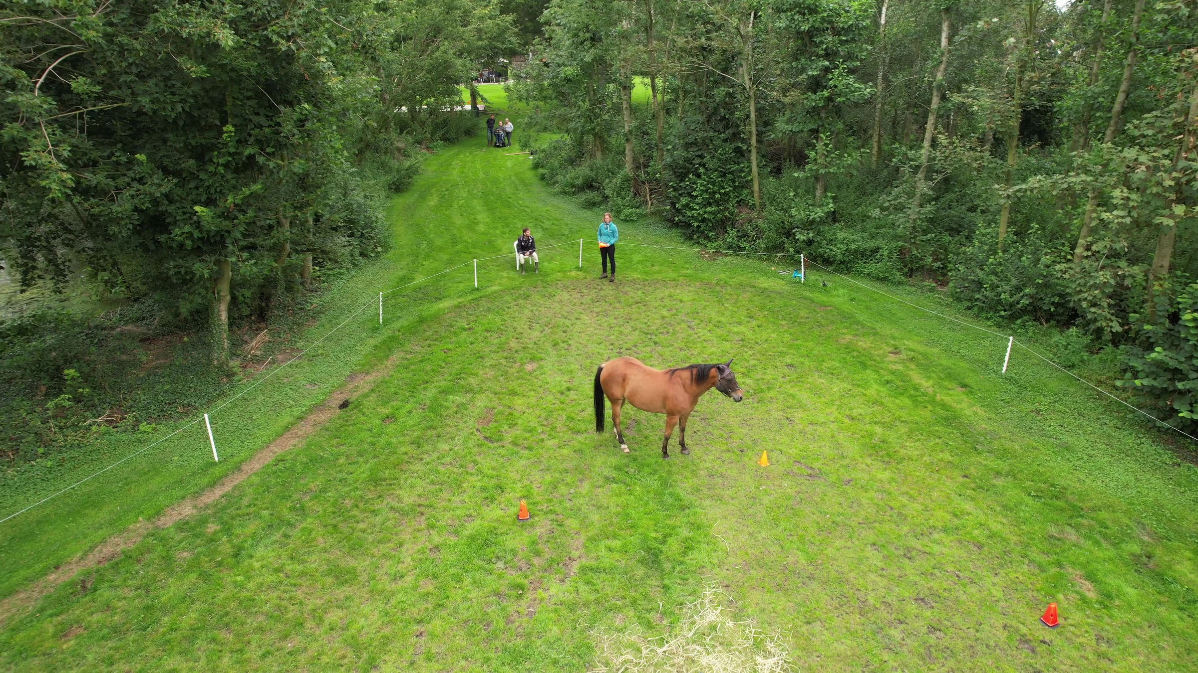 Paardencoaching